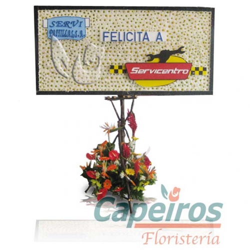 FLORIGRAMA 27