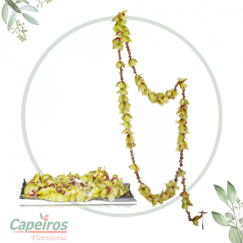 Rosario de Orquideas