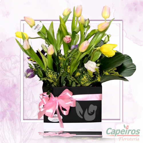 Caja de Tulipanes 1