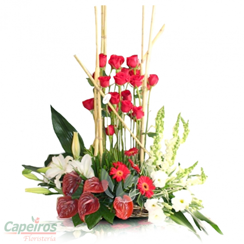 Rosas 051