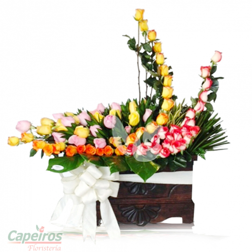 Rosas 052