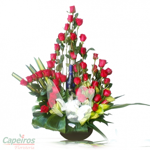 Rosas 053