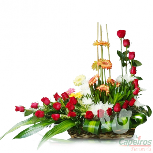 Rosas 054