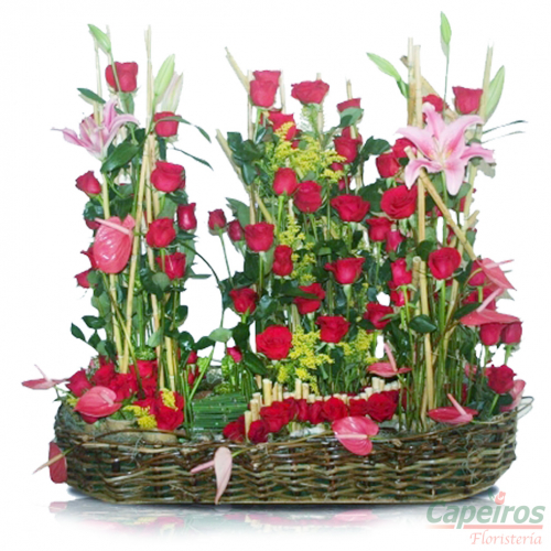 Rosas 058