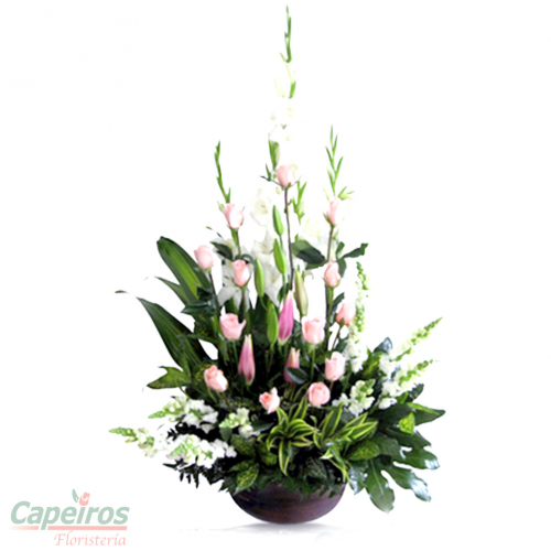 Rosas 059