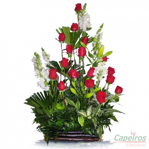Rosas 060