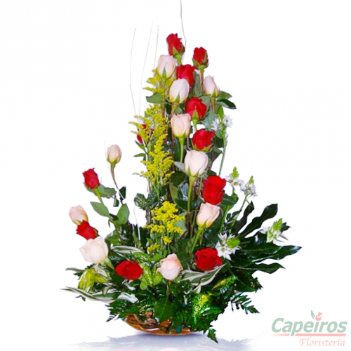 Rosas 067