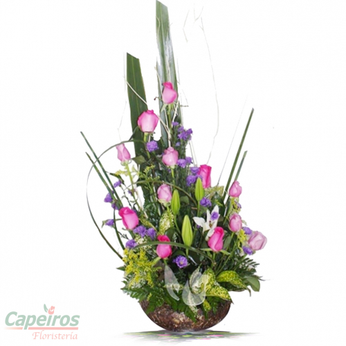 Rosas 068