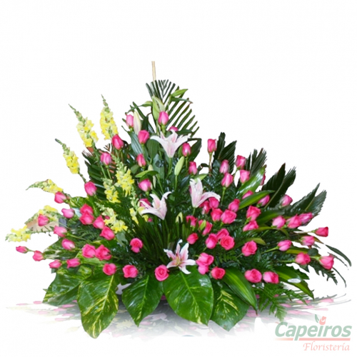 Rosas 070