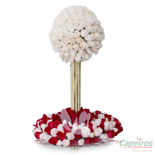 Rosas 071