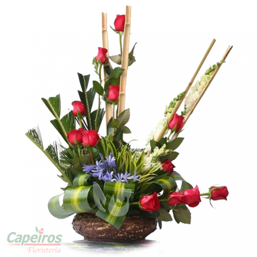 Rosas 077