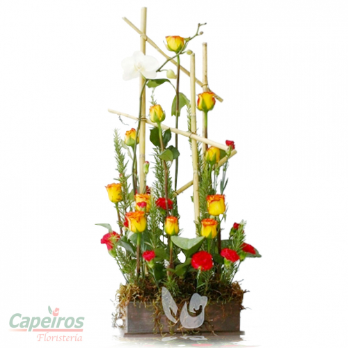 Rosas 078