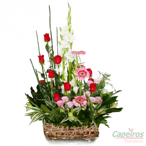 Rosas 079