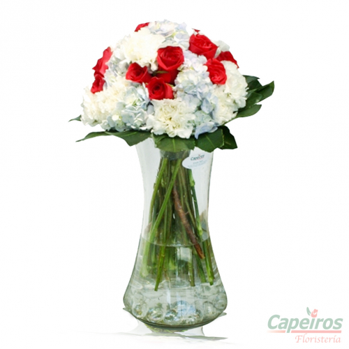 Rosas 080