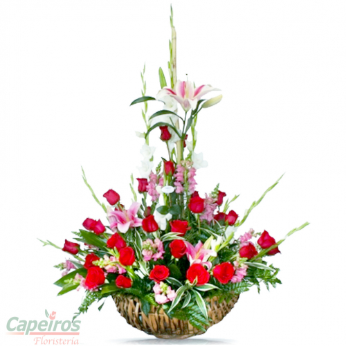 Rosas 081