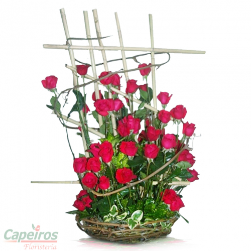 Rosas 061