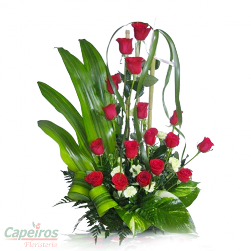 Rosas 083
