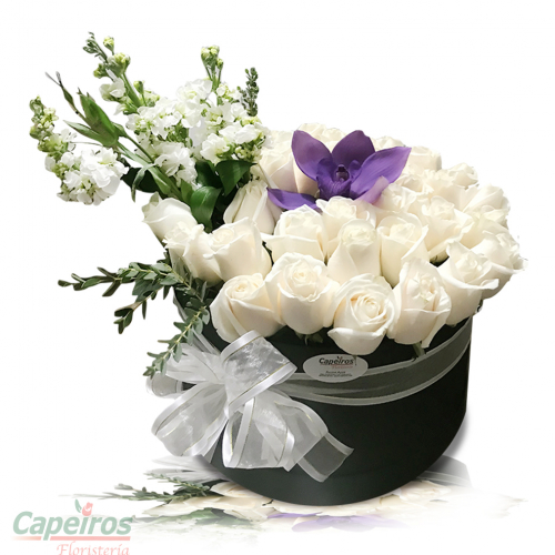Rosas 084