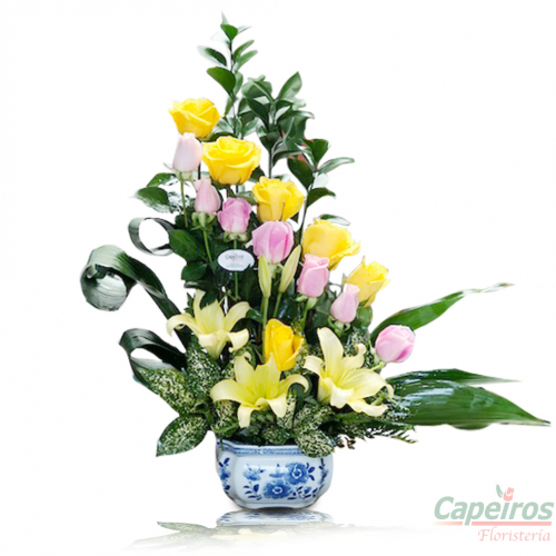 Rosas 085