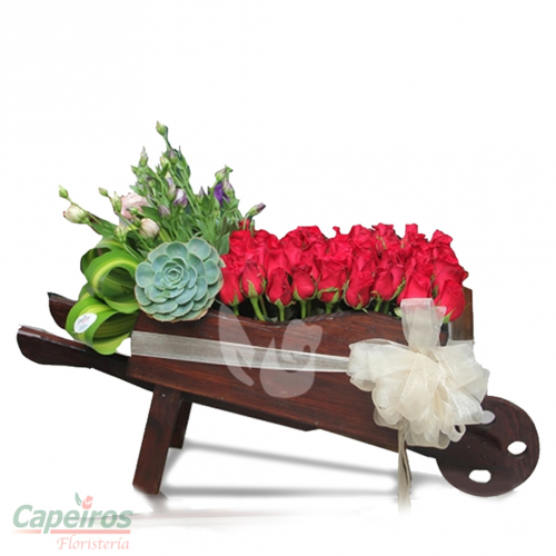 Rosas 086