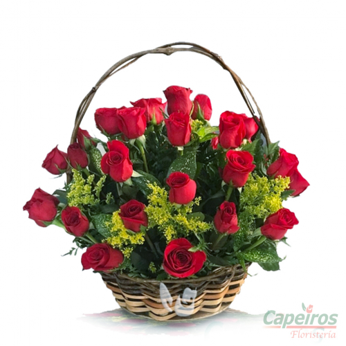 Rosas 092