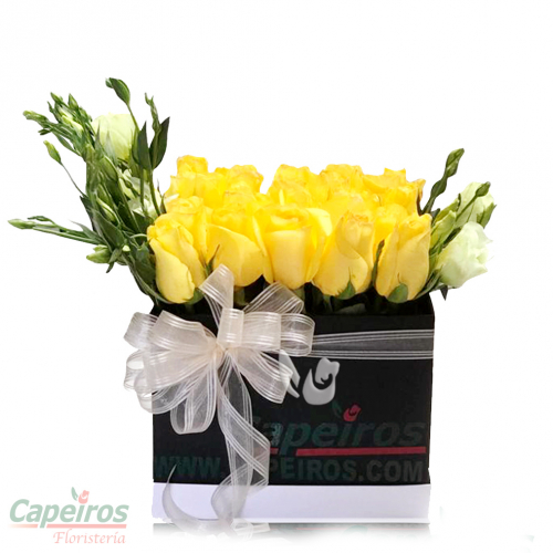 Rosas 093