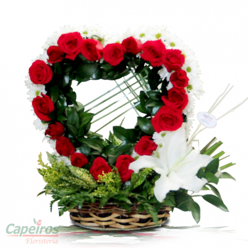 Rosas 095