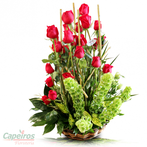 Rosas 099