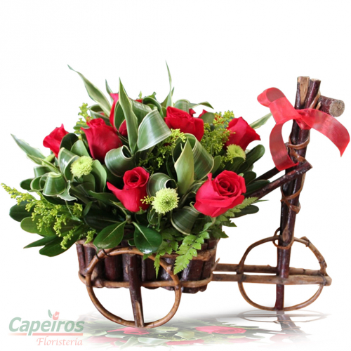 Rosas 103