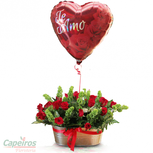 Rosas 105