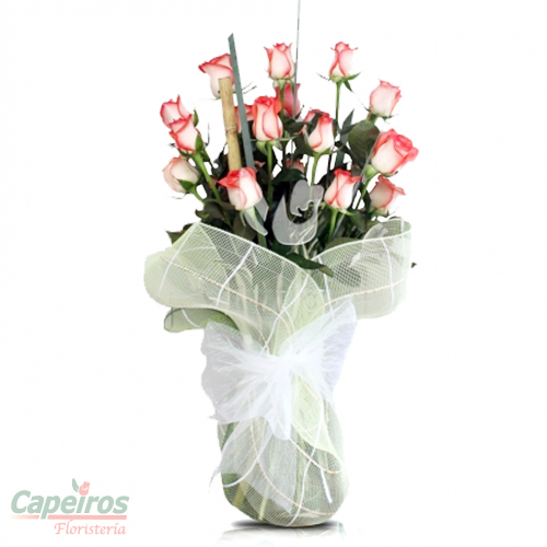 Rosas 020