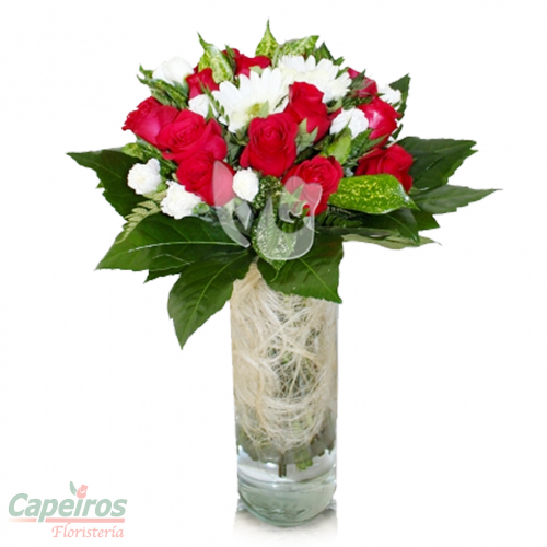 Rosas 019