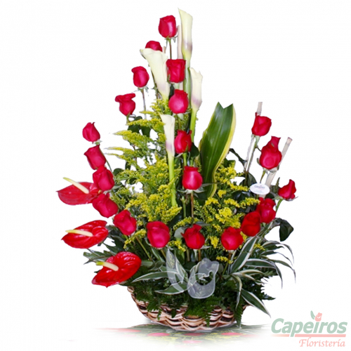 Rosas 021