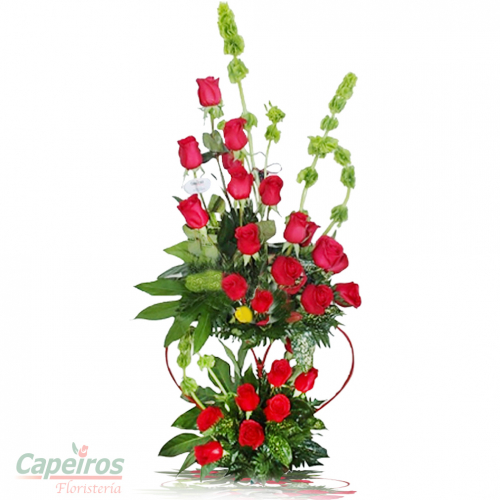 Rosas 015