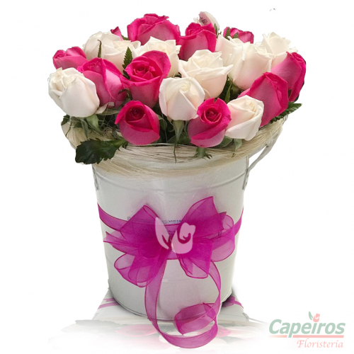 Rosas 018