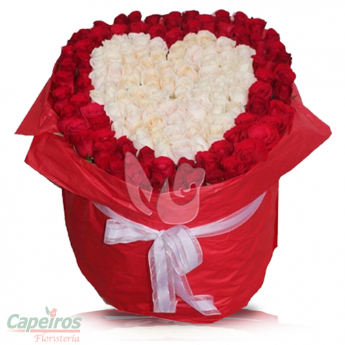 Rosas 026