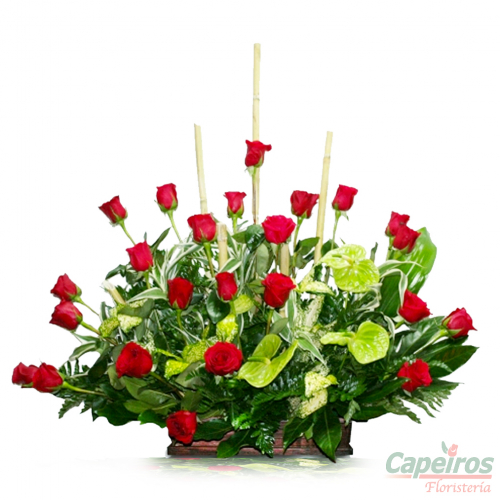 Rosas 030