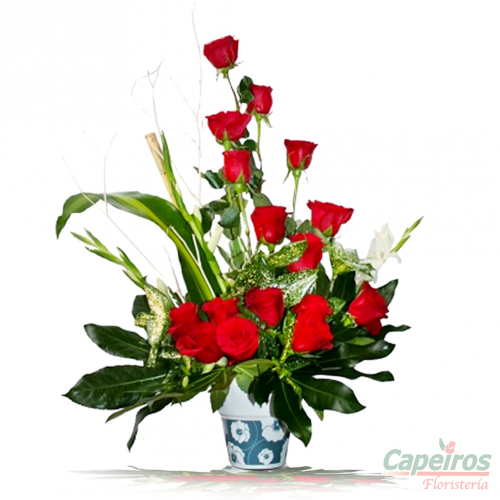 Rosas 031