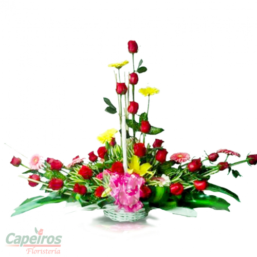 Rosas 033