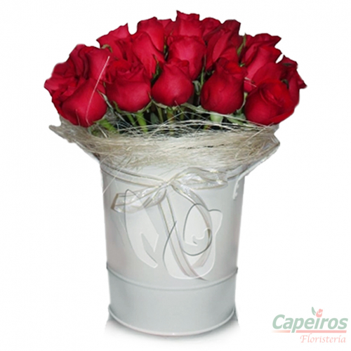 Rosas 034