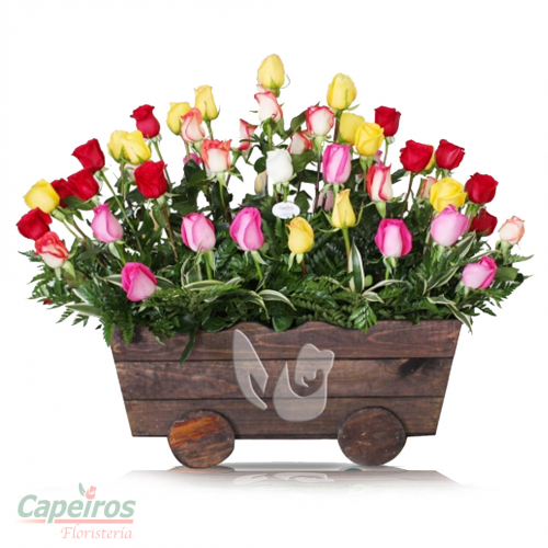 Rosas 037