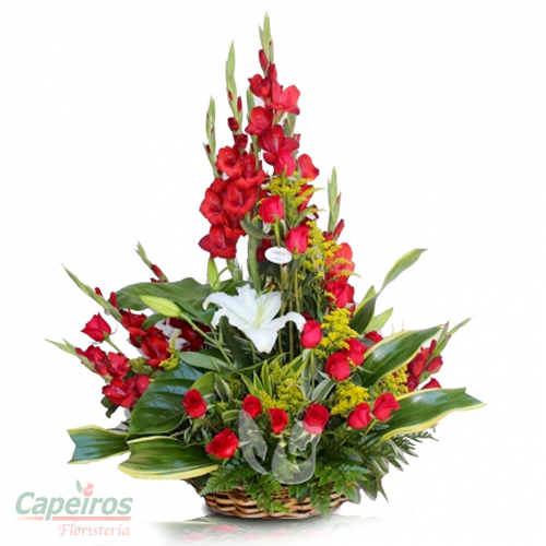 Rosas 040