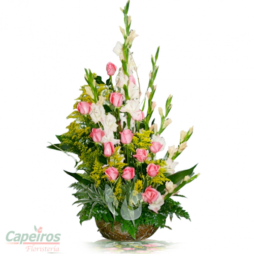 Rosas 043