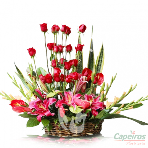 Rosas 047