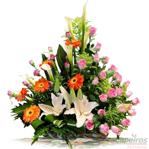 Primaverales 133
