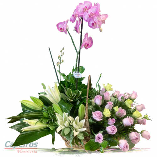 Orquideas 68