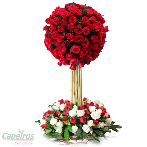 Rosas 107