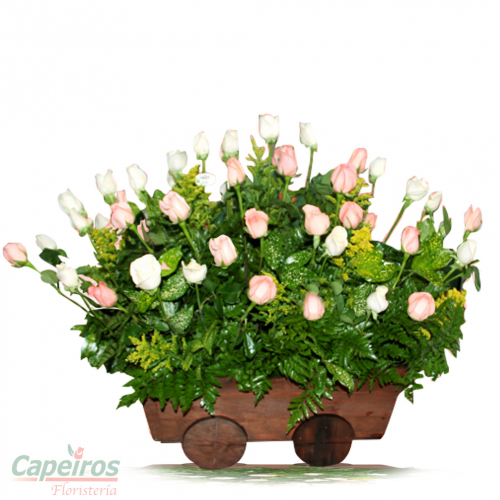 Rosas 112