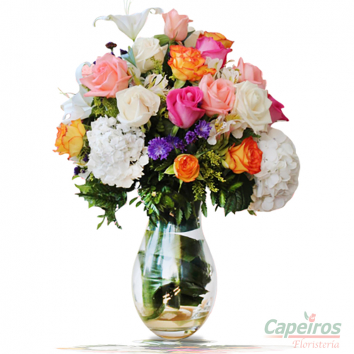 Rosas 114