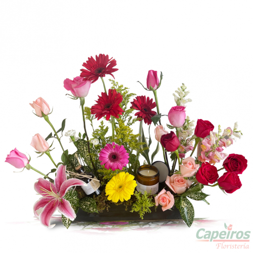 Rosas 118